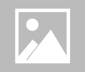 华中科技大学录取分数线2024