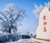 吉林大学学历查询