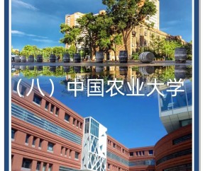 中国农业大学烟台研究院