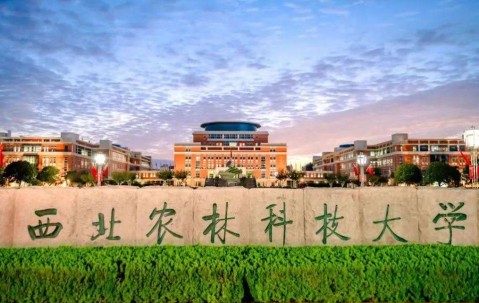 西北农林科技大学文凭报考条件