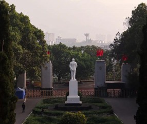 西南大学(西南大学是985还是211)