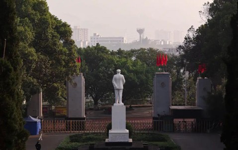 西南大学(西南大学是985还是211)