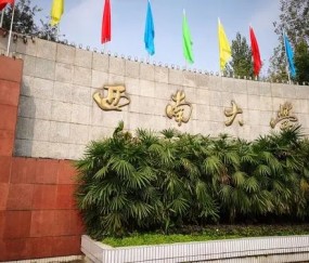 西南大学是985还是211