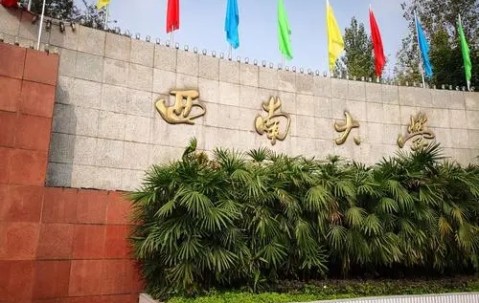 西南大学是985还是211