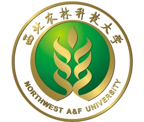 西北农林科技大学毕业照