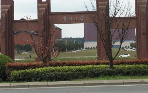 贵州大学(贵州大学生返乡创业平台公示)