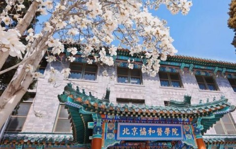 北京协和医学院认可度