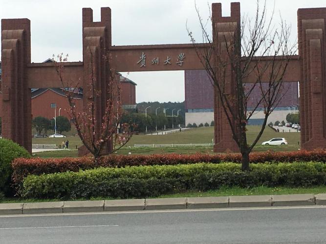 贵州大学(贵州大学生返乡创业平台公示)