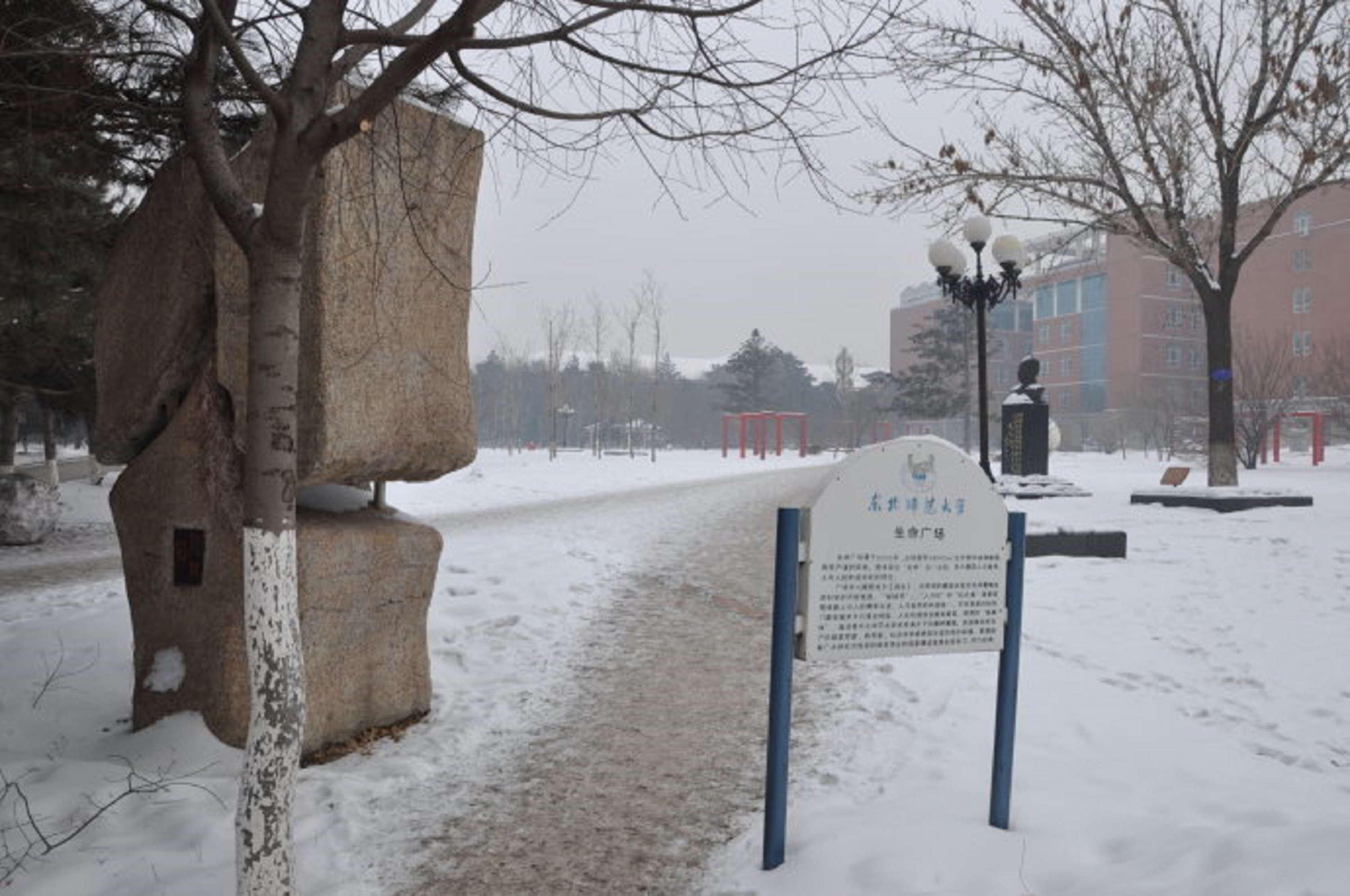 东北师范大学毕业证查询