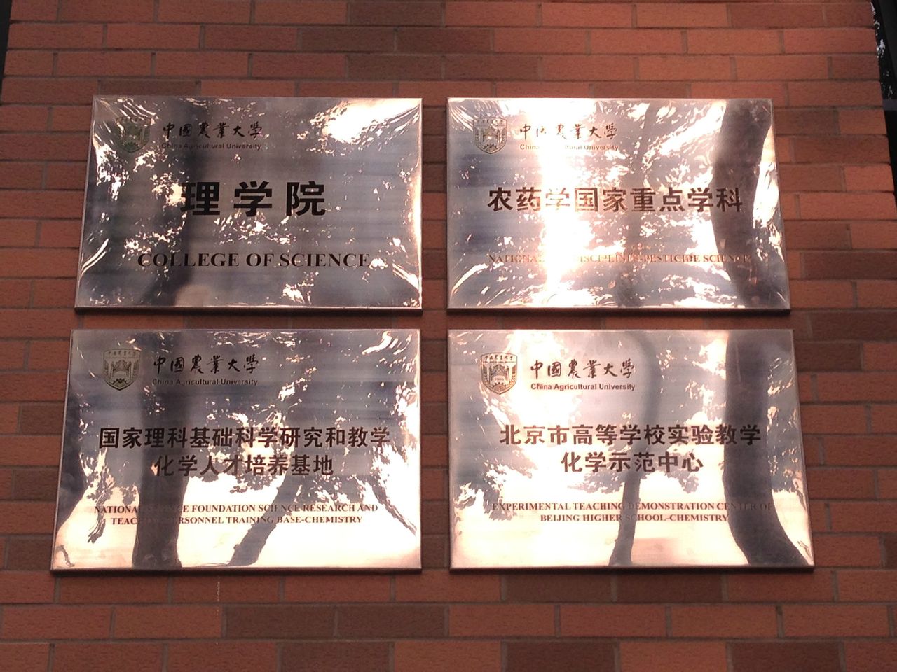中国农业大学毕业证封皮