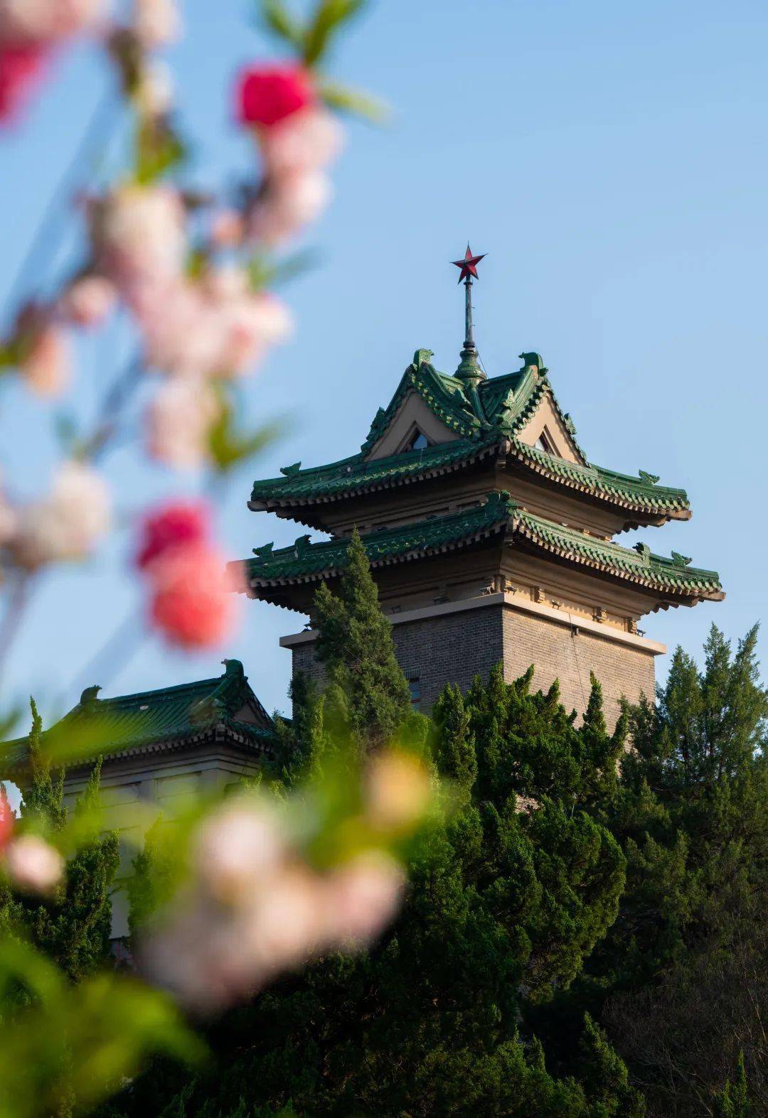 南京农业大学网上办事大厅