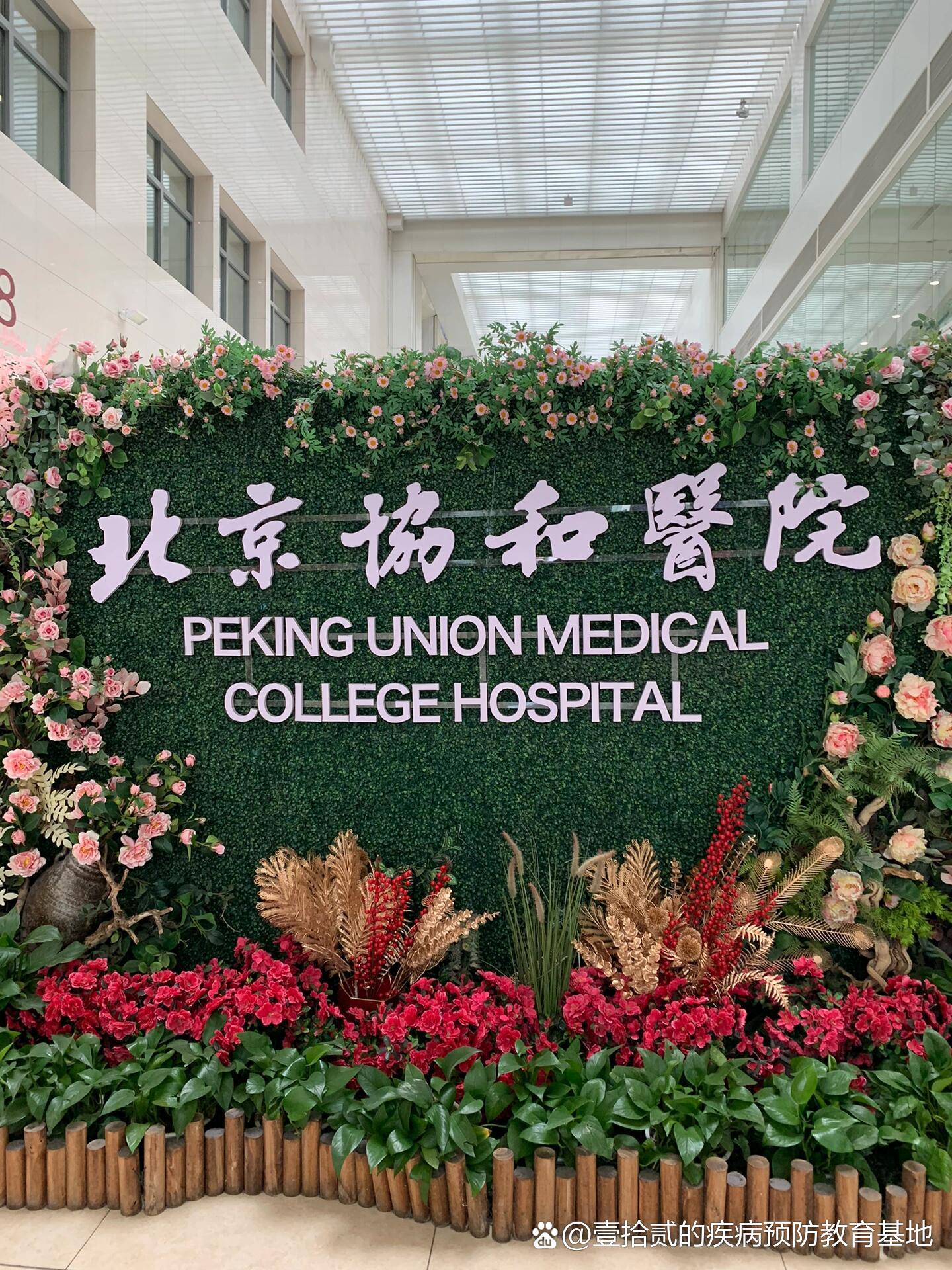 北京协和医学院录取分数线