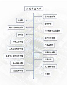 东北林业大学毕业证的样本和图片