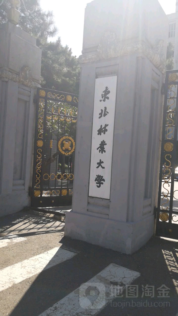 东北林业大学毕业证的样本和图片
