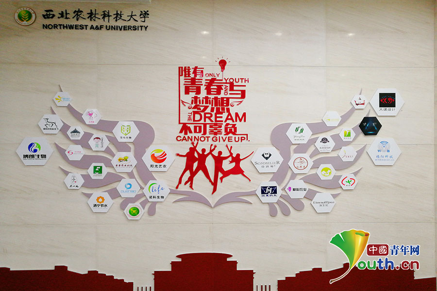 西北农林科技大学毕业照